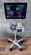 PHILIPS MX800 Monitor