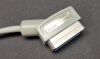 HEWLETT PACKARD HP/ 21202A PHASED ARRAY TRANSDUCER PROBE Ultrasound Transducer