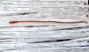 BARD 010118 Urological Catheter 18Fr Tiemann Model Coude Tip (#A4) (LOT/11) 2028