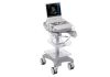 SIEMENS P300 Ultrasound - Shared Service