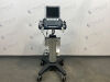 SONOSITE M-Turbo PORTABLE ULTRASOUND W/ PROBE   PRINTER 2013