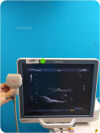 TOSHIBA PLT-704AT Ultrasound Transducer