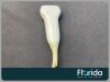 GE 2007 M12L LINEAR ARRAY TRANSDUCER PROBE REF 2294512 FOR PARTS OR REPAIR Ultrasound Transducer