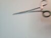 PILLING 18-2615 Rochester-Ochsner Forceps, Straight,