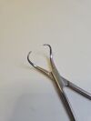 JARIT 109-102 Backhaus Towel Forceps, 1/4"