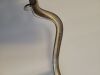 GSOURCE 36.318 gS 38.4806 Balfour Retractor, 10" Spread