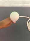 PHILIPS 3D9-3V Endocavity Ultrasound Transducer