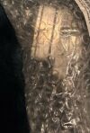 ZIMMER Vanguard Microplasty Slidex Femoral 4-in-1 Block 60mm