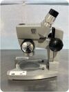 AMERICAN OPTICAL  Microscope