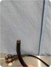 OLYMPUS GIF-XP240 Gastroscope