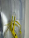 STRYKER 6770-180-010 Lot of 5 Disposable Spetzier Malis Dual Irrigating Bipolar Forceps Non-Stick 18 cm x 1.0 mm