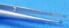 WEXLER FL 0705.21 Forceps