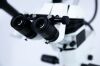 LEICA M501 O/R Microscope