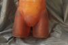 PHANTOM RESEARCH Adult Human Torso Phantom for X-Ray CT Optical Laboratory