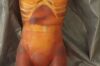 PHANTOM RESEARCH Adult Human Torso Phantom for X-Ray CT Optical Laboratory