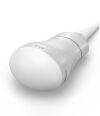 ACUSON/SIEMENS 8VC3 Ultrasound Transducer