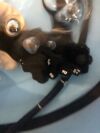 OLYMPUS GF-UM2000 Gastroscope
