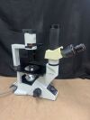 OLYMPUS CKX41SF Microscope