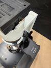 OLYMPUS CKX41SF Microscope