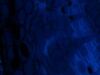 ZEISS AXIO Imager.Z2 Microscope