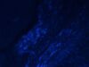 ZEISS AXIO Imager.Z2 Microscope