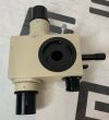 OLYMPUS BH2-MDO TEACHING MULTI-VIEWING Bridge Microscope