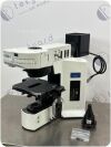 OLYMPUS Fluorescence Microscope