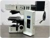 OLYMPUS Fluorescence Microscope