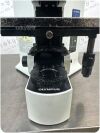 OLYMPUS Fluorescence Microscope