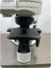 OLYMPUS Fluorescence Microscope