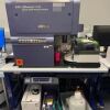BD BIOSCIENCES LSRFortessa X-20 Flow Cytometer