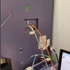 BD BIOSCIENCES LSRFortessa  Cell Analyzer