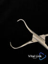V. MUELLER Mueller SU2900 V Mueller Backhaus Towel Forceps - 3 1/2in SU2900