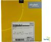 STRYKER C177545 Stryker Excelsior XT-17 2 Tip Pre-Shaped MicroCatheter (150cm x 7.5cm) REF:C177545 Date: 2021-05-08