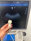 TOSHIBA Xario 200 With Cardiac and Linear Probe