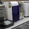 BD BIOSCIENCES FACSMelody™ Cell Sorter