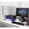 BD BIOSCIENCES FACS Lyric  Flow Cytometer
