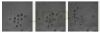 CSPEC Real-time Live Cell Imaging And Analysis System Cyto-Eco Cell Separator