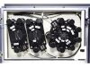 BD BIOSCIENCES FACSCanto II Flow Cytometer