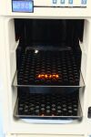 THERMO SCIENTIFIC HERATherm IMC 18 Incubator