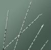 CR BARD 138008 Catheters