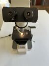 FISHER SCIENTIFIC 29AX Microscope