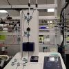 MILTENYI BIOTEC CliniMACS Plus  Magnetic Cell Separator