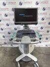 ACUSON/SIEMENS Siemens Acuson S3000