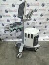 ACUSON/SIEMENS Siemens Acuson S3000