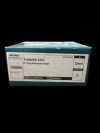 1 623-00-32G 32mm 0° Polyethylene Insert – REF 623-00-32G Prosthetics