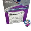 BOSTON SCIENTIFIC 39274-2025 REBEL Monorail Coronary Stent System