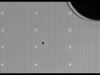 BD Rhapsody Flow Cytometer