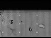 BD Rhapsody Flow Cytometer
