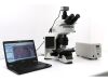 OLYMPUS BX46F Microscope